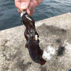 四杯やっつけましたぁ